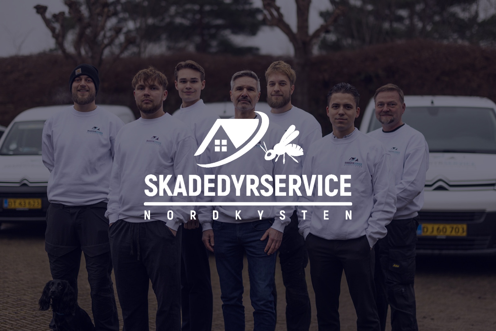 Skadedyrservice Nordkysten